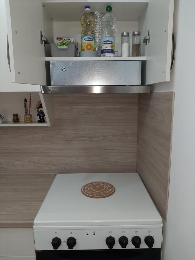 Apartman Viaggio Sremska Mitrovica Bagian luar foto